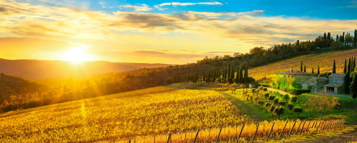 5-Incursione-nel-Chianti-Senese-Radda-e-Volpaia